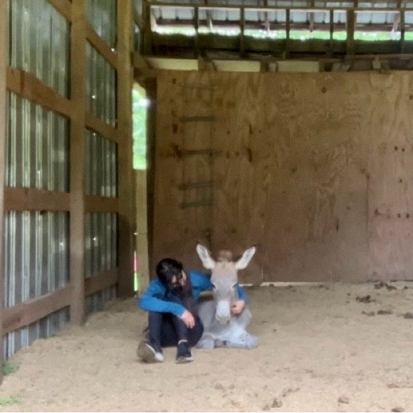 Heart Diamond Farm - Picture 1 of 15